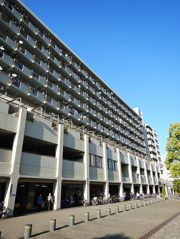 東武亀戸線 東あずま駅まで 徒歩7分(2LDK) 7階のその他画像