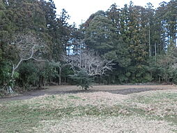 新潟県佐渡市上横山