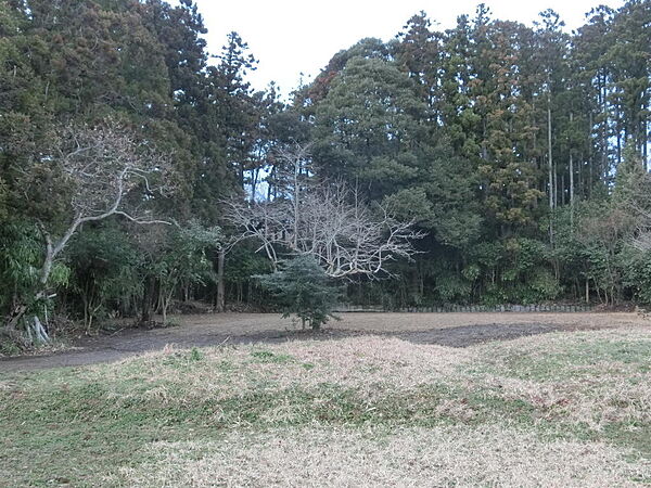 外観：315000027678