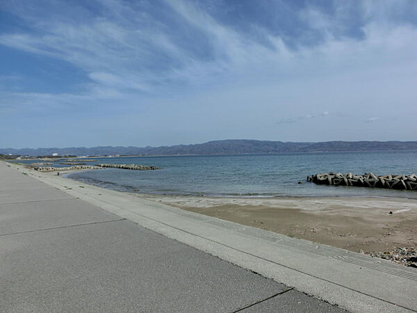 海岸
