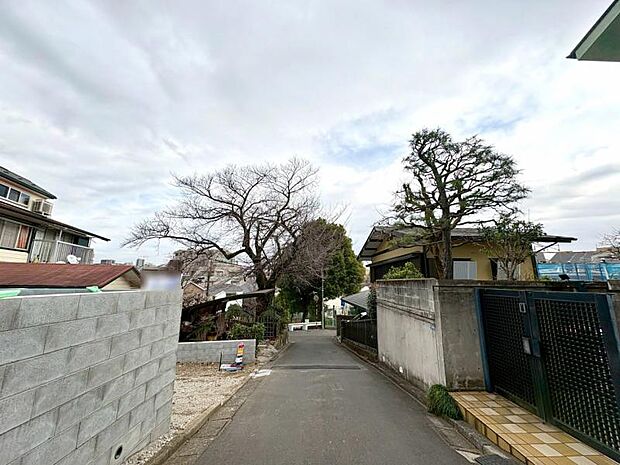 前面道路を含む現地