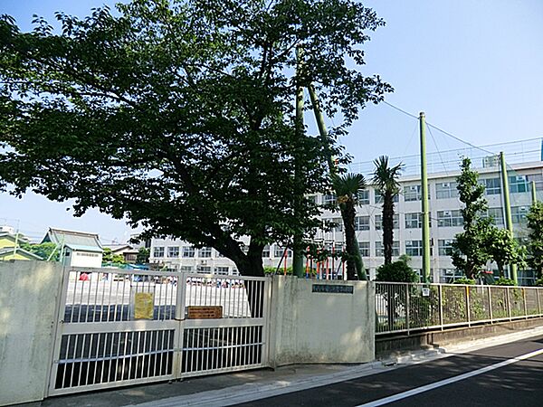 大田区立池上小学校？300m