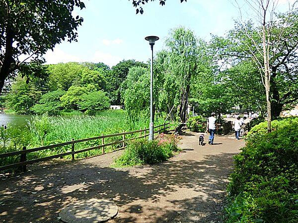 洗足池公園　600ｍ