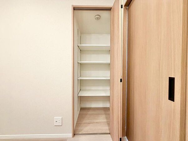 大きなクローゼット。我が家のクローゼットは子供のおもちゃの空き箱でいっぱいですが、これだけ広い収納があればパパのスーツやママのバッグもしまえそうですね！
