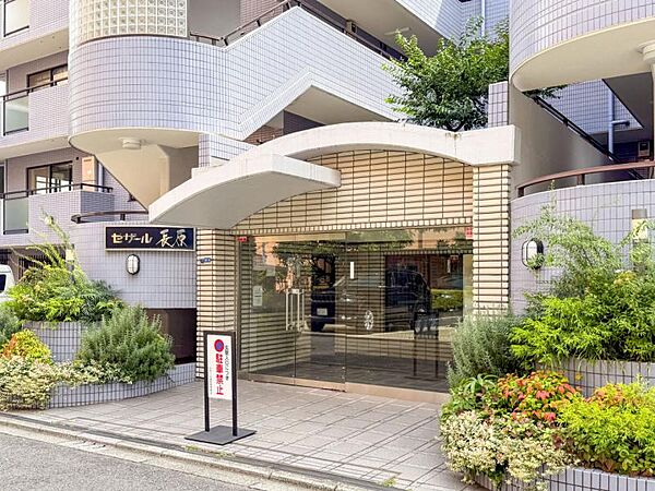 管理が行き届いた清潔感のあるエントランス。