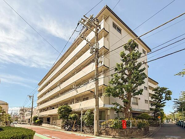 外観：313004827450
