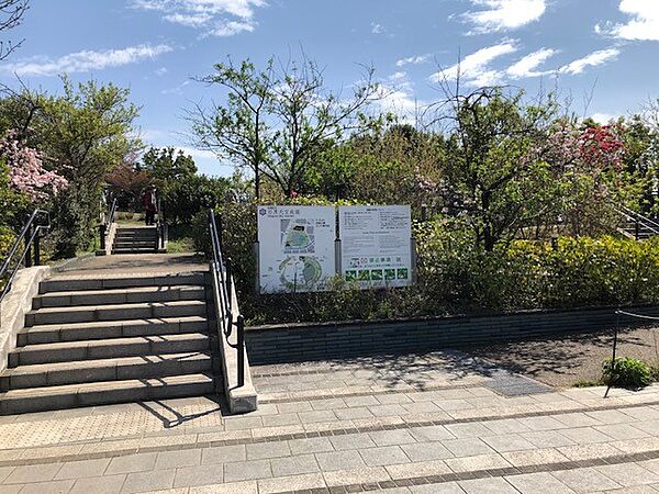周辺を拡大表示