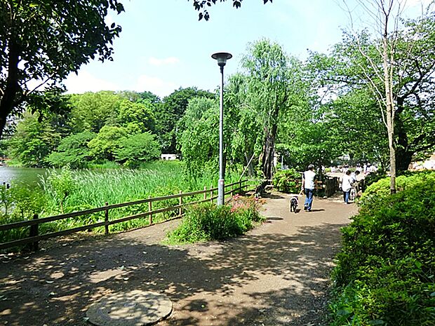 洗足池公園 350m