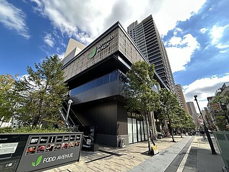 樹モールプラザ(1501m)