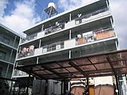 大政ビル２号館 3階 築46年7ヶ月の賃貸物件