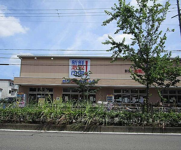 画像2:新鮮激安市場 桂店まで600m 桂川街道沿いのディスカウントスーパー。毎日が特売日です。