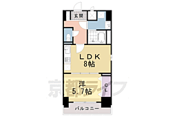 JR山陰本線 亀岡駅 徒歩5分の賃貸マンション 6階1LDKの間取り