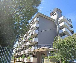 阪急京都本線 桂駅 徒歩20分の賃貸マンション