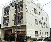ChateauBiei 3階 築52年6ヶ月の賃貸物件