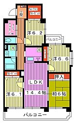 エディフィシオ赤塚 2階4SLDKの間取り