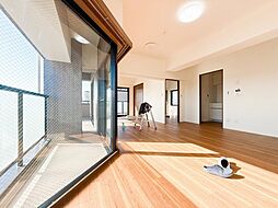 ドミール八王子 2LDKのリビング/ダイニング