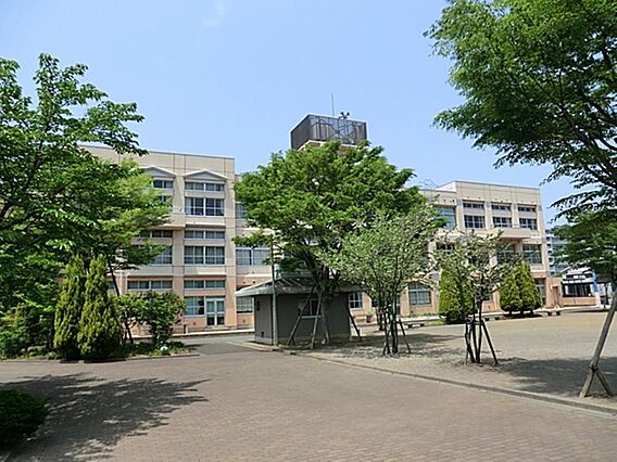 八王子市立松木...