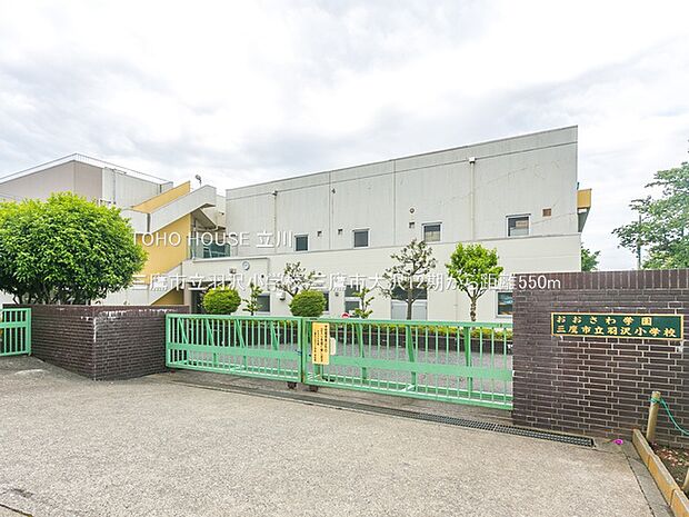 三鷹市立羽沢小学校 550m