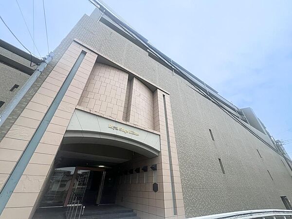 外観：313004518949