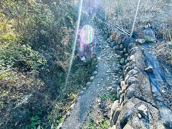 自然つたかな場所になっていて自然豊かな空間になっています。
