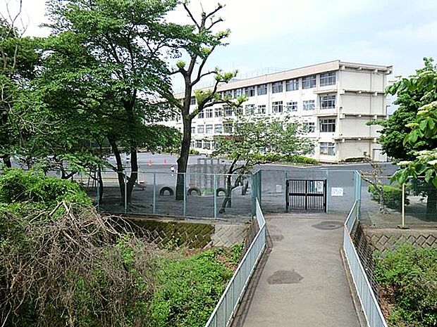 八王子市立楢原小学校まで約300m