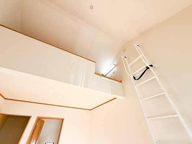 収納はもちろん、趣味部屋や書斎にも。天井高を活かした「隠れ家」のような、遊び心あふれるロフト空間。