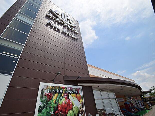 スーパーアルプス日野店まで約755m