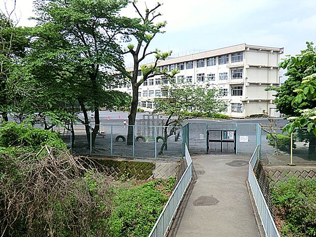 八王子市竜楢原小学校 480m