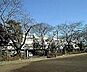 周辺：調布市立調布中学校まで約2500m