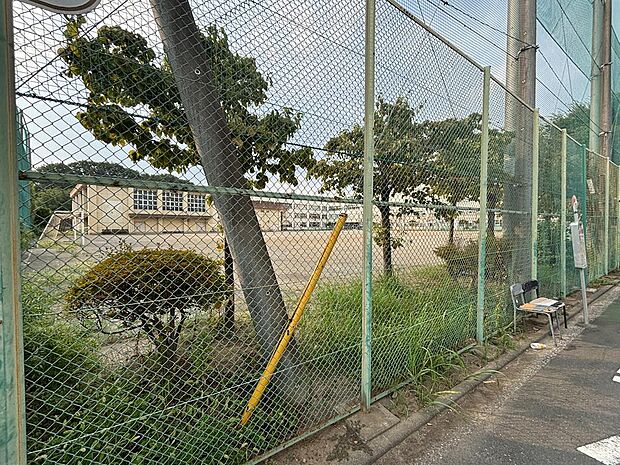小金井市立小金井第二中学校まで約350m