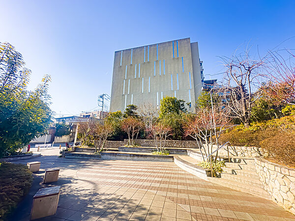 マンションの傍には「仙桜公園」がございます。2026/2/13撮影