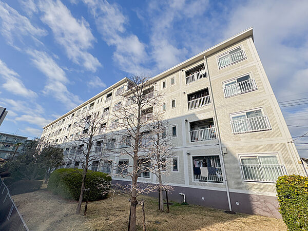 外観：313004642221