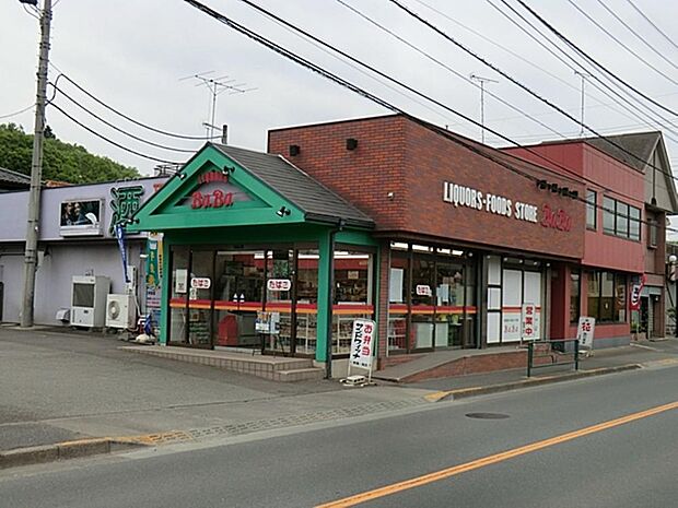 有限会社馬場商店まで約2024m