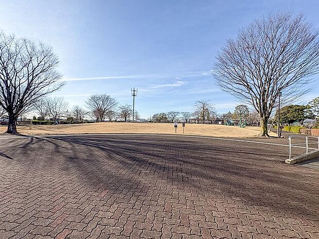 東松原中央公園まで約550m