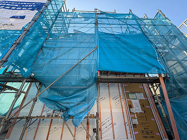 2026年2月15日撮影