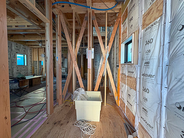 2026年2月15日撮影