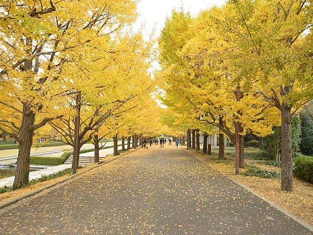 昭和記念公園まで約1200m