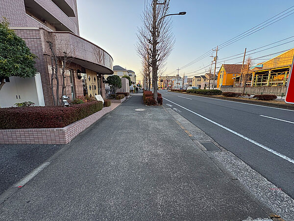 2026年3月5日撮影