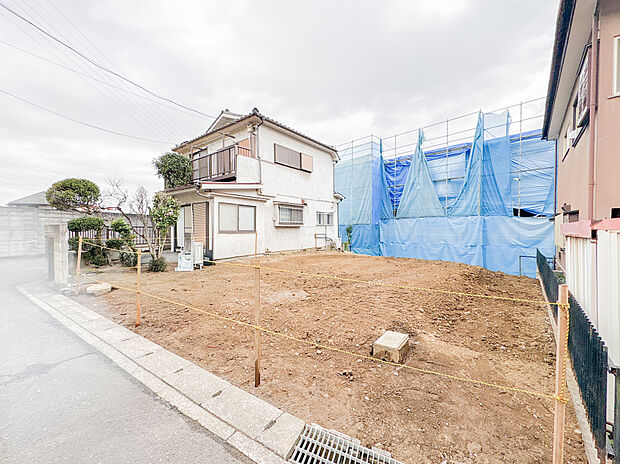 2026年3月5日撮影