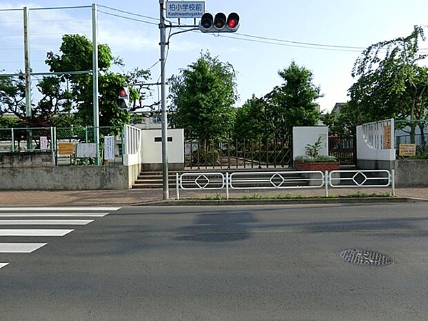 立川市立柏小学校まで約663m