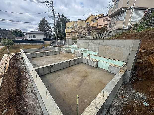 2026年3月19日撮影