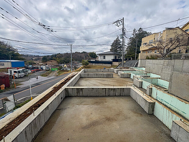 2026年3月19日撮影