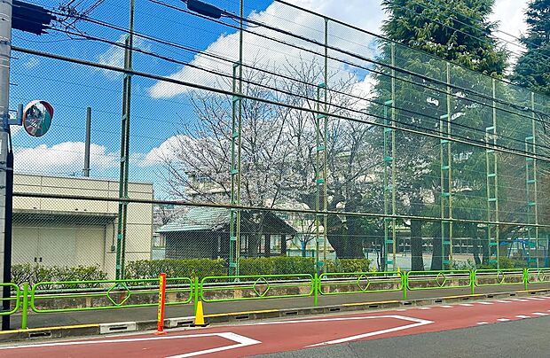 狛江市立緑野小学校まで約398m