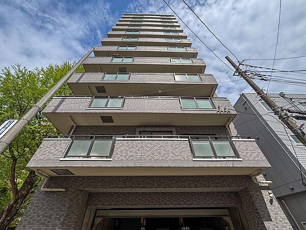 外観：313004700294