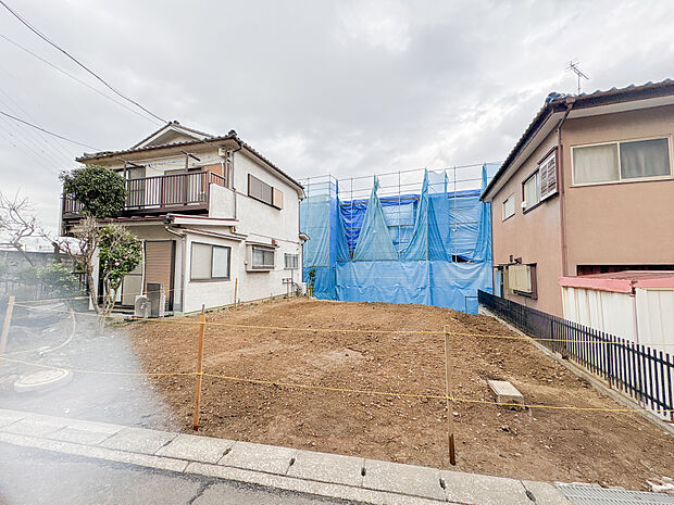 2026年3月5日撮影
