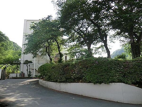 八王子市立浅川中学校まで約1032m