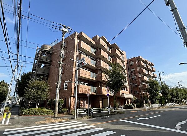 外観：313004734063