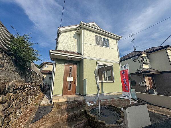 2026年7月撮影