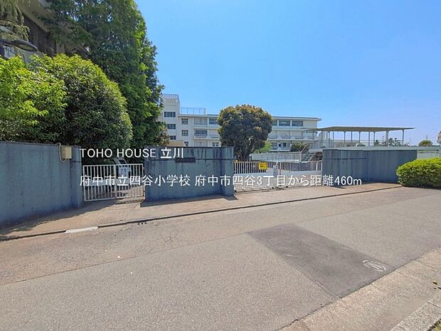 府中市立四谷小学校 460m