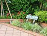 周辺：六号通り児童遊園地まで約166m